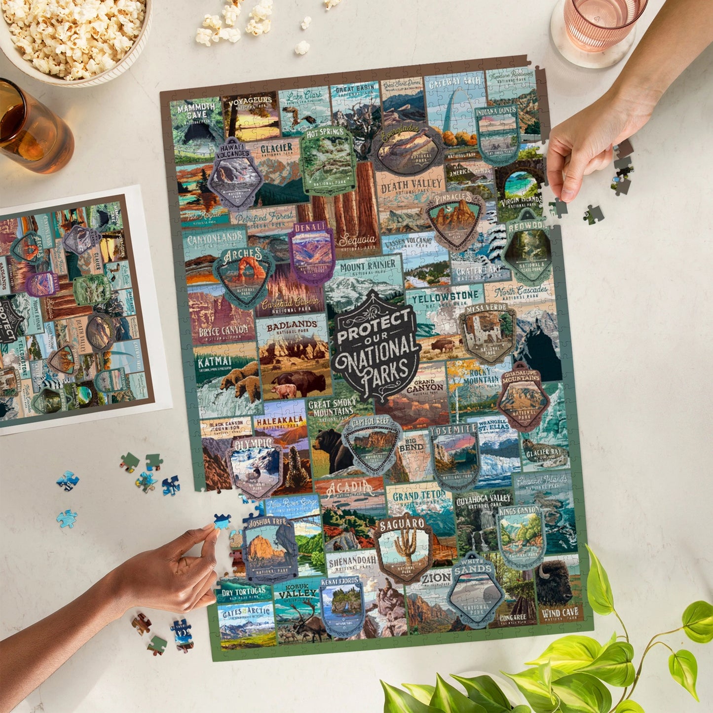 Protect the National Parks Collage Puzzle - 1000 Pieces