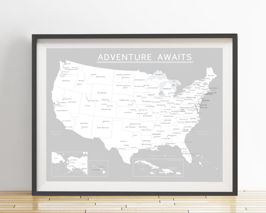 USA Map Poster - Light Gray