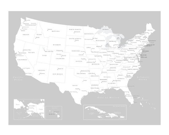 USA Map Poster - Light Gray