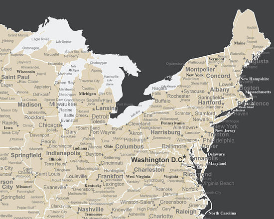 Load image into Gallery viewer, detailed usa map charcoal and beige close up
